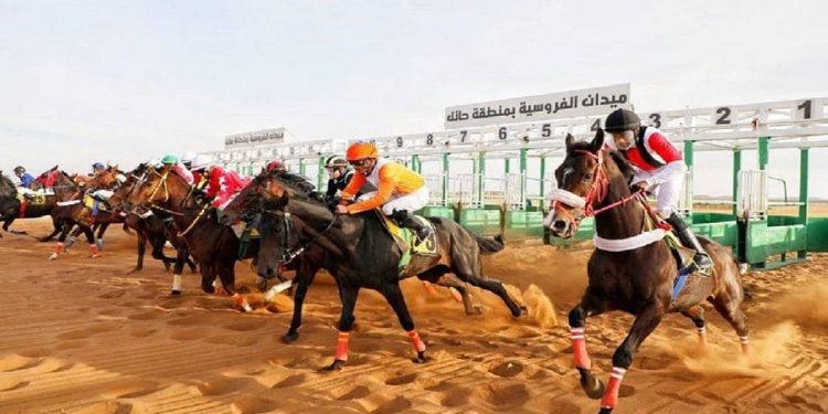 ميدان فروسية حائل ينظّم اليوم حفل سباقه الحادي عشر لموسم 2025م