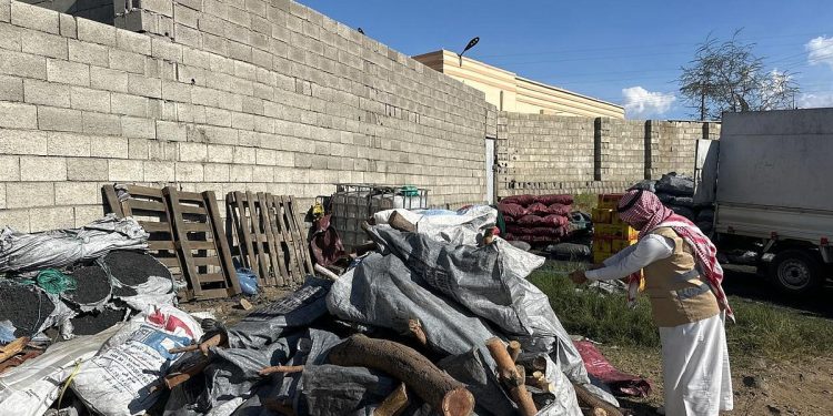 مركز "الغطاء النباتي" يرصد 2,930 مخالفة في 2024