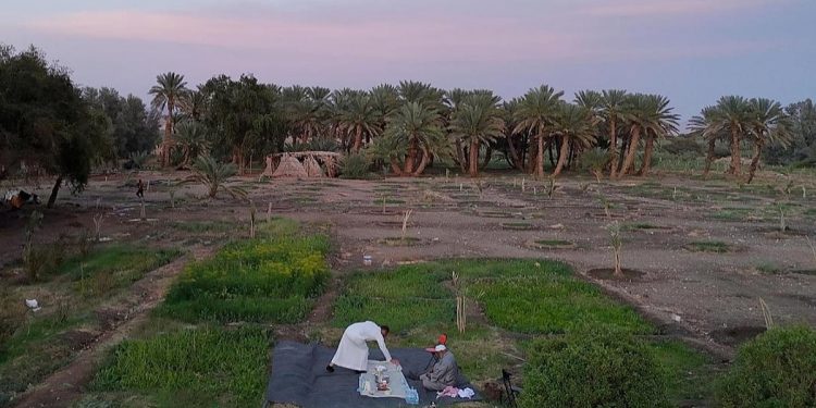 أهالي العُلا بين عشق المزارع وأجواء رمضان العائلية