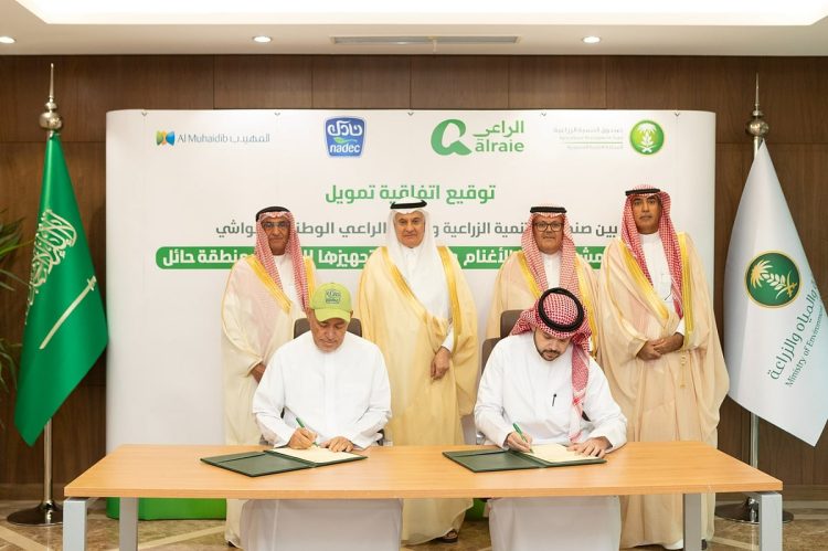 «نادك» تقود استثمارات استراتيجية في قطاع اللحوم الحمراء عبر مشروع ضخم لتربية الأغنام بحائل