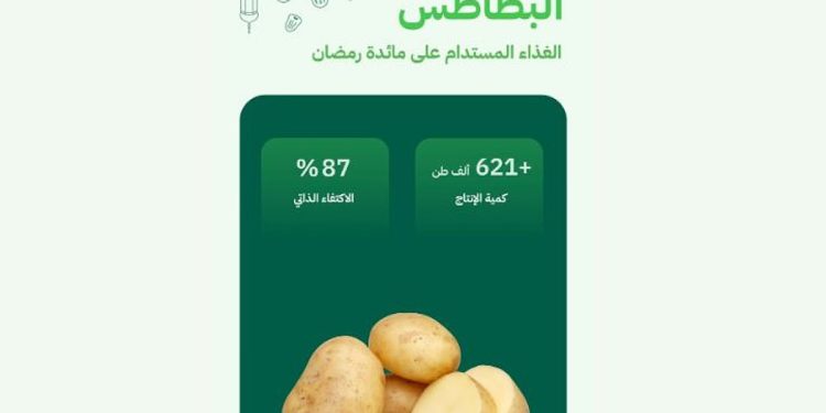 البطاطس في المملكة.. غذاء رمضاني مستدام ونسبة اكتفاء ذاتي وصلت 87%