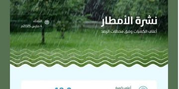 «البيئة» ترصد هطول أمطار في 6 مناطق.. ومحافظة بدر تسجّل أعلى كمية بـ (13.2) ملم