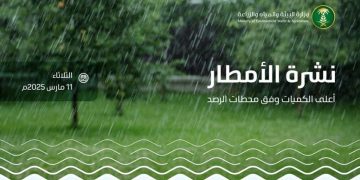 «البيئة»: هطول أمطار على 7 مناطق.. والشرقية تسجل أعلى كمية بـ 6.2 ملم في حفر الباطن