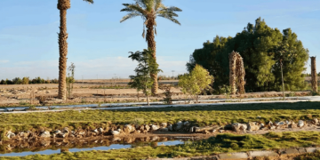 المزارع الريفية غرب رفحاء وجهة سياحية واعدة تجمع بين الترفيه والطبيعة