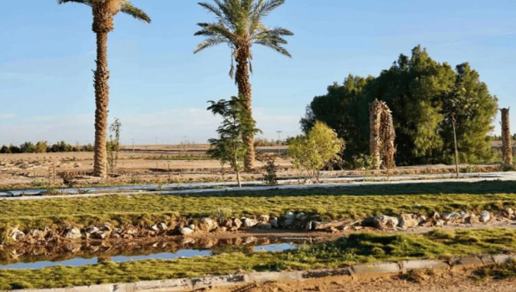 المزارع الريفية غرب رفحاء وجهة سياحية واعدة تجمع بين الترفيه والطبيعة