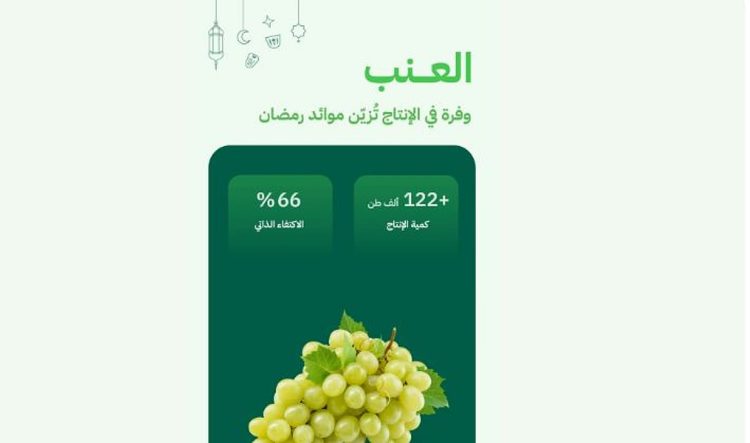 تتجاوز 122 ألف طن سنويًا.. «البيئة»: وفرة في إنتاج العنب المحلي واكتفاء ذاتي يصل إلى 66%