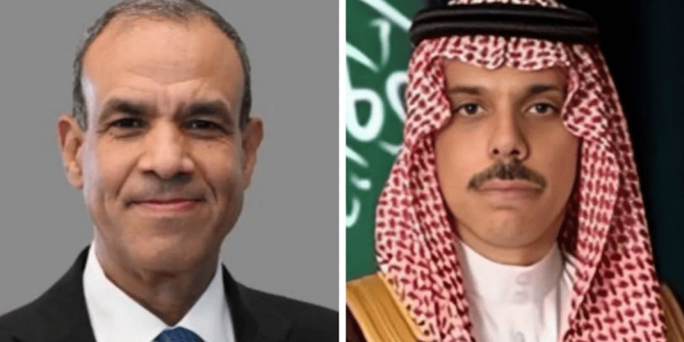 وزيرا خارجية المملكة ومصر يتابعان الخطة العربية للتعافي المبكر وإعادة الإعمار في غزة