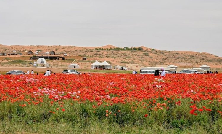 «محمية الديدحان» تستقطب آلاف الزوار والسياح بحائل
