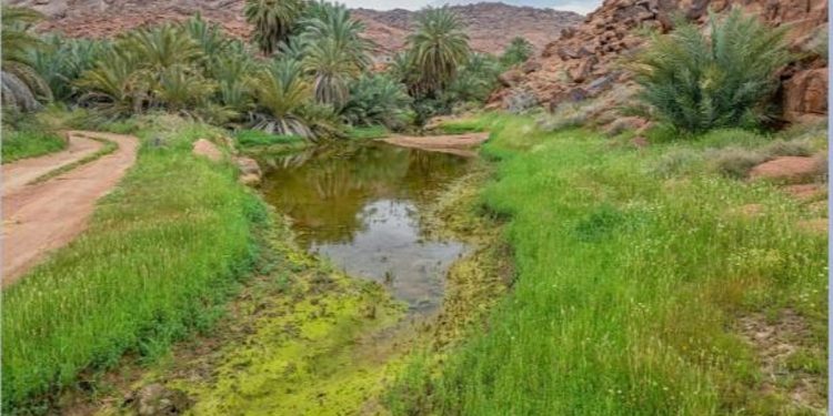 جبال أجا وسلمى.. تنوع بيئي مميز وفريد للمتنزهين والسياح في حائل