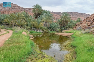 أجا وسلمى.. واحات غنّاء في أحضان الطبيعة