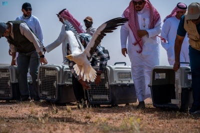 إطلاق 25 كائنًا فطريًا مهدَّدًا بالانقراض في محمية الإمام