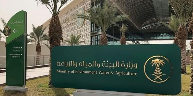 «البيئة» ترصد هطول أمطار في 8 مناطق.. وعسير تسجل الأعلى كمية بـ 25.4 ملم