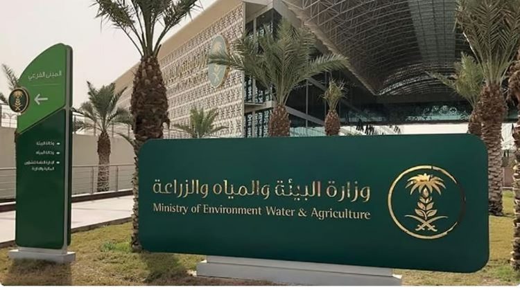 «البيئة» ترصد هطول أمطار في 8 مناطق.. وعسير تسجل الأعلى كمية بـ 25.4 ملم