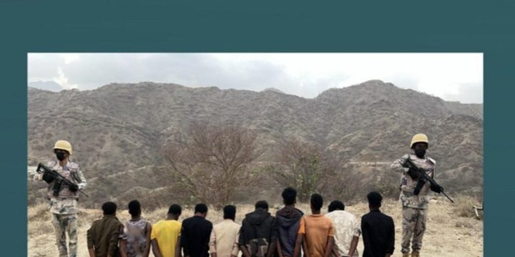 القبض على 10 مخالفين بمنطقة عسير لتهريبهم 192 كيلوجرامًا من نبات القات