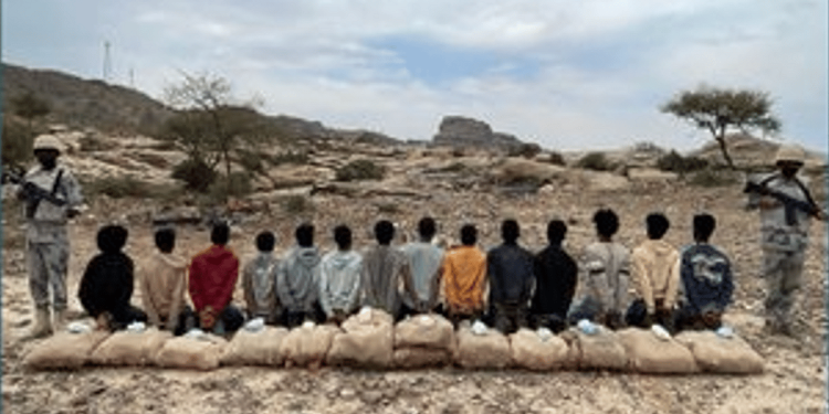 القبض على 14 مخالفًا لنظام أمن الحدود بعسير لتهريبهم 350 كيلوجرامًا من القات