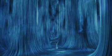 'تيم لاب فينومينا أبوظبي' يفتتح أبوابه في قلب المنطقة الثقافية