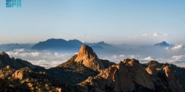 صدور الجبال.. موئل طبيعي للنمور العربية والصقور