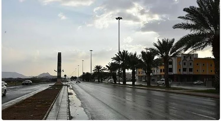 طقس المملكة الثلاثاء.. فرصة لتكوّن سحب رعدية ممطرة ونشاط الرياح على عدة مناطق