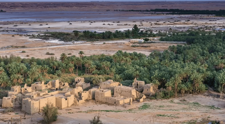 عبقرية التاريخ والجيولوجيا.. قصيباء مصدر جديد لاكتشافات النفط