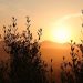 مارس 2025 يسجل مستويات قياسية بدرجات الحرارة عالميًا