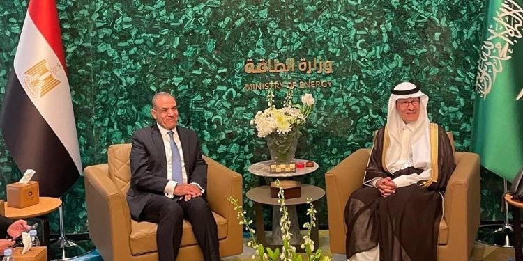 مصر تبدي استعدادها للدخول كشريك استراتيجي مع المملكة في مشروعات "الطاقة الخضراء"