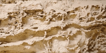 هيئة التراث: المملكة كانت واحة خضراء قبل 8 ملايين سنة