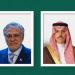 وزير الخارجية يبحث مستجدات الأوضاع في المنطقة مع نظيره الباكستاني