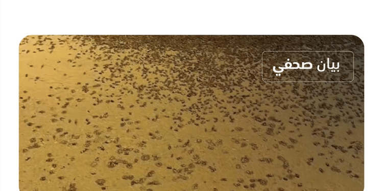 «وقاء»: الخنافس المنتشرة بعدد من المناطق لا تشكل خطرًا على الإنسان والحيوان