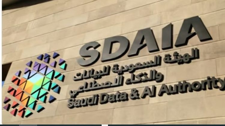 "سدايا" تُسخّر تقنيات الذكاء الاصطناعي لتسهيل دخول الحجاج عبر مطار الملك عبد العزيز وميناء جدة