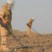 "مسام" ينتزع 1.095 لغمًا في اليمن خلال أسبوع