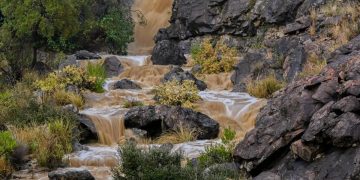 أجواء مطرية باردة تجذب الزوار إلى منطقة الباحة تزامنًا مع الإجازة المطولة