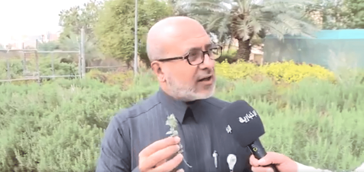 أستاذ عقاقير: الزعتر مضاد حيوي معزز لصحة الجهاز التنفسي
