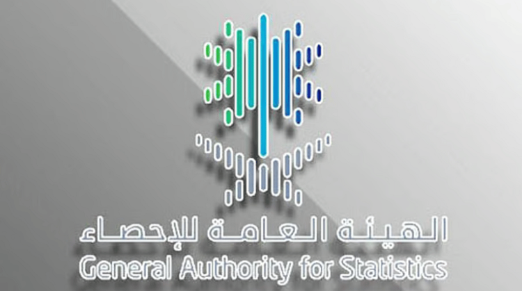 الإحصاء: 15.6% حصة الاقتصاد الرقمي من الناتج المحلي الإجمالي خلال 2023