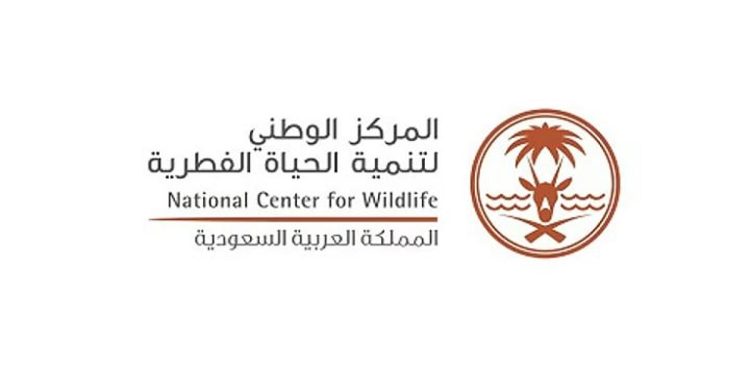 «الحياة الفطرية» تطلق خطة لمراقبة الحشائش البحرية على امتداد ساحل البحر الأحمر