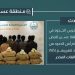 القبض على 11 مخالفًا لتهريبهم 165 كيلوجرامًا من القات في عسير
