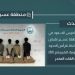 القبض على 4 مخالفين لتهريبهم 80 كيلوجرامًا من القات في عسير