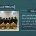 القبض على 8 مخالفين لتهريبهم 144 كيلوجرامًا من القات في عسير