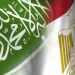 المتحدث باسم الحكومة المصرية: العلاقات بين المملكة ومصر قوية وراسخة