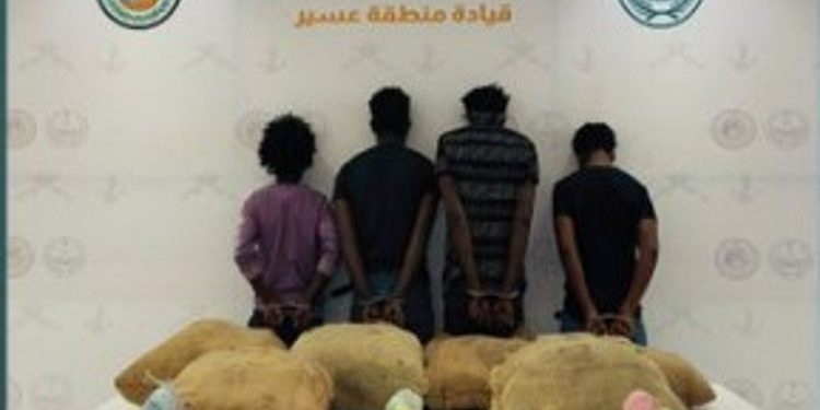 حرس الحدود بعسير يقبض على 4 مخالفين لتهريبهم 120 كيلوجرامًا من القات