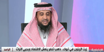 صاحب مزارع: الباحة تنتج حاليًا أجود أنواع الزيتون في المملكة
