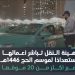 عبر أكثر من 20 موقعا.. "النقل" تباشر أعمالها استعدادًا لموسم الحج