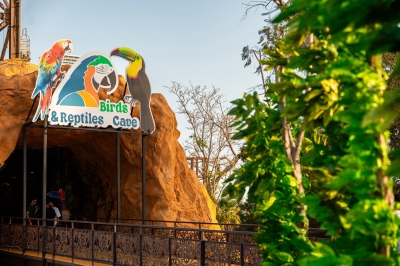 كهف الطيور.. تجربة ترفيهية في سيتي ووك