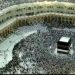 مسؤول بـ«الحج»: نحرص على خدمة ضيوف الرحمن على مدار العام وفق أعلى المعايير العالمية