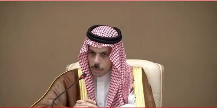 وزير الخارجية: سعدنا بوقف إطلاق النار بين الهند وباكستان