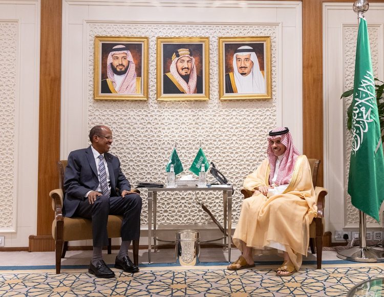 وزير الخارجية يبحث تعزيز التعاون رئيس مفوضية الاتحاد الأفريقي