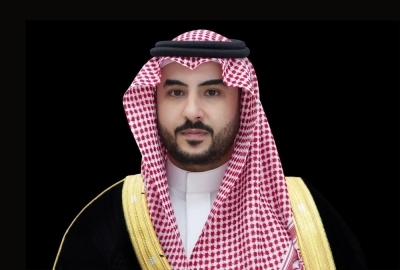 وزير الدفاع يبحث مع رئيس الإمارات استقرار أمن المنطقة