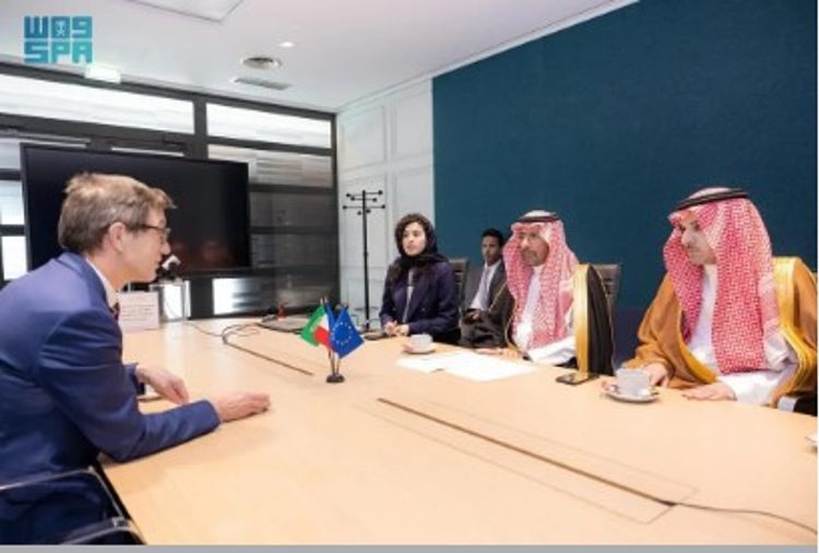 وزير الصناعة يبحث تعزيز التعاون في قطاع التعدين والمعادن الإستراتيجية مع فرنسا
