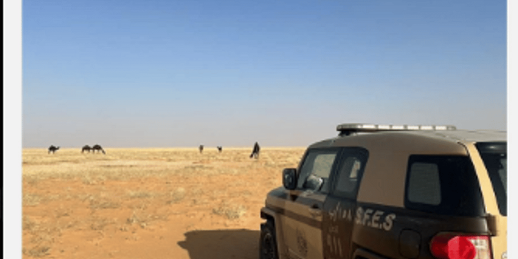 ضبط مواطن لارتكابه مخالفة رعي في محمية الإمام عبدالعزيز بن محمد الملكية