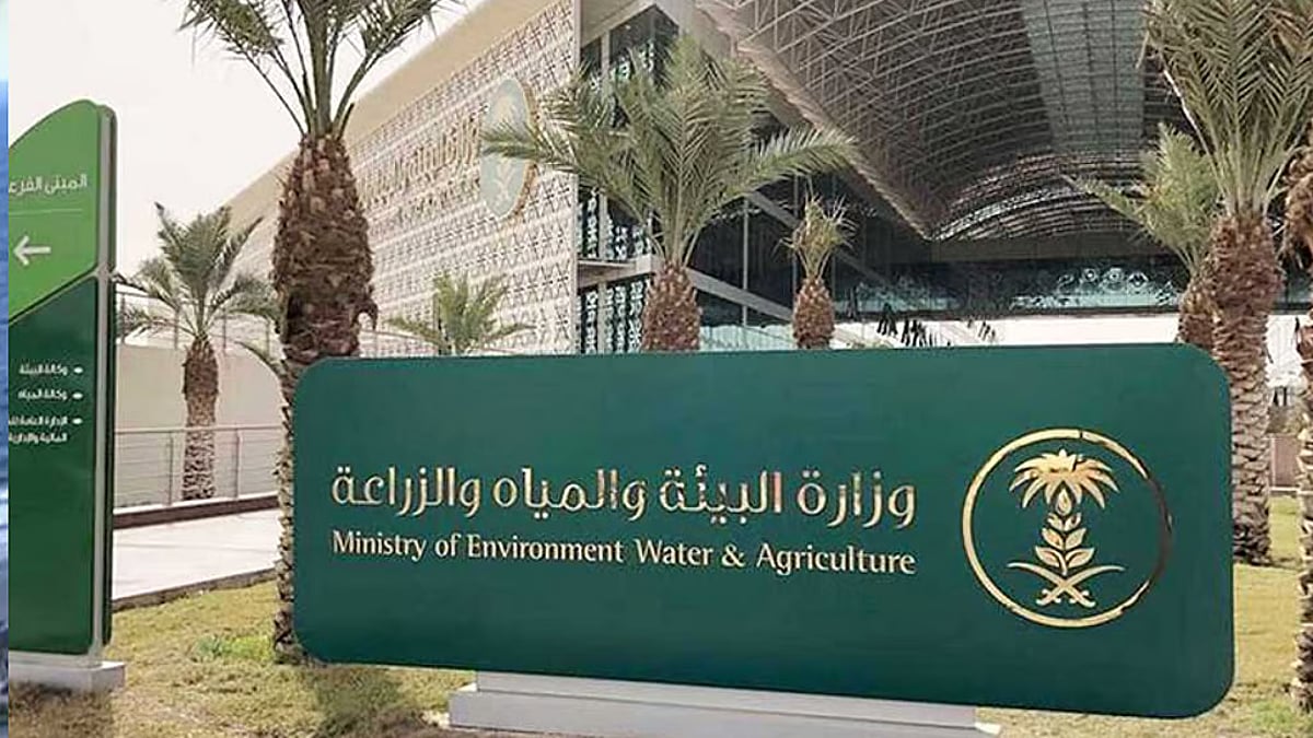 5306 ذبائح بمسالخ "بيئة الجوف" خلال موسم عيد الأضحى لهذا العام