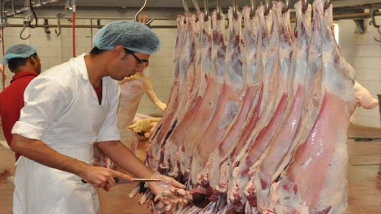 "مسالخ القطيف" تستقبل 6086 أضحية خلال أيام عيد الأضحى